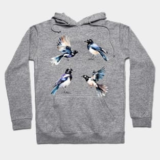 Magpie Birds Hoodie